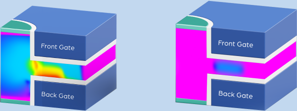 neosemic